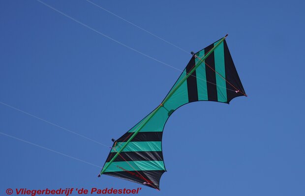 De Paddestoel Cursor Flash - Zwart/groen