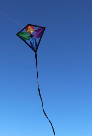 Spiderkites Domann Kaleido Diamond Eddy