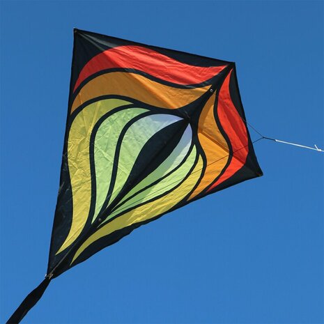 Spiderkites Brasington Diamond Eddy