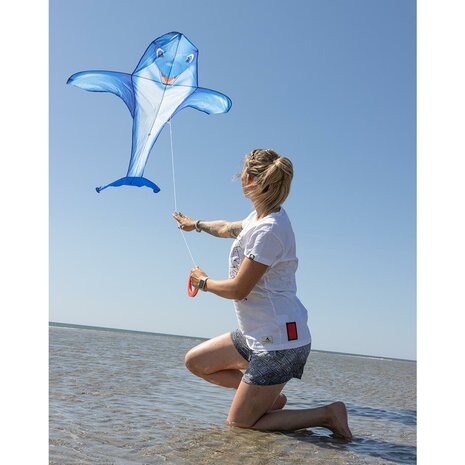 HQ Dolfin Kite - eenlijnsvlieger