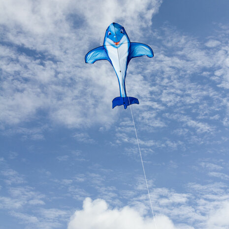 HQ Dolfin Kite - eenlijnsvlieger