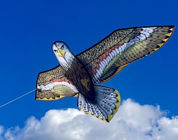 HQ Eagle Delta