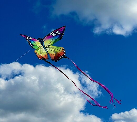 HQ Butterfly Kite Rainbow - Eenlijnsvlieger