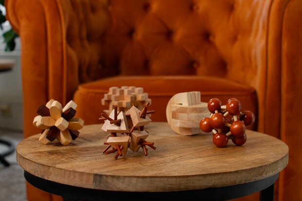 Recent Toys Parietal Lobe - IQ Puzzel