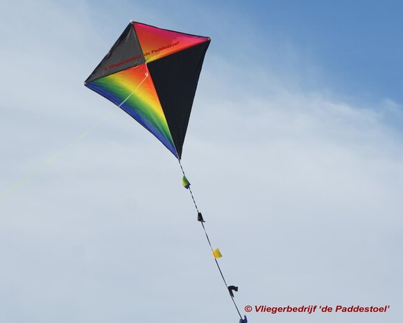 De Paddestoel Eddy 60 Multi met Naam - Eenlijnsvlieger