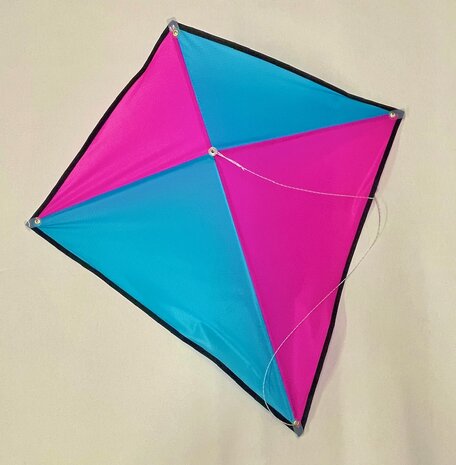 De Paddestoel Eddy 60 Multi met Naam - Eenlijnsvlieger