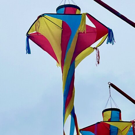 De Paddestoel Octopus Windvaan