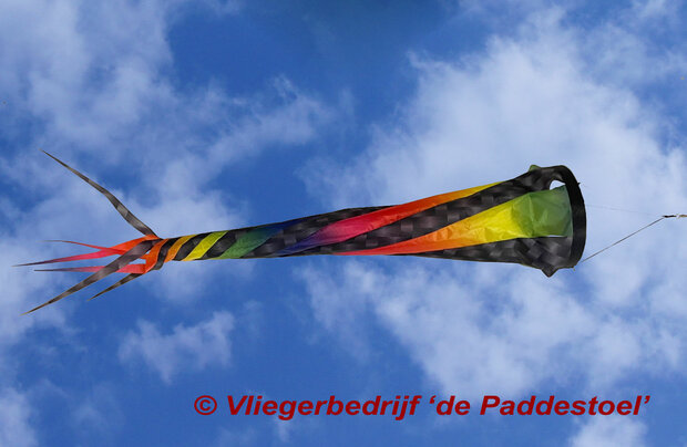 De Paddestoel Windvaan S  Carbon-Rainbow