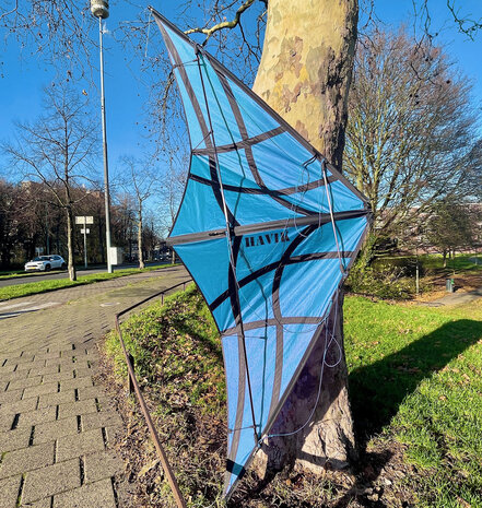 De Paddestoel Havik
