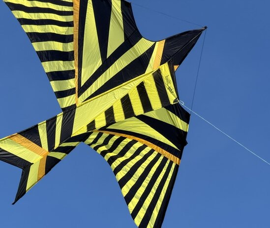 De Paddestoel George Peters Sky Bird Schiedam - Eenlijnsvlieger
