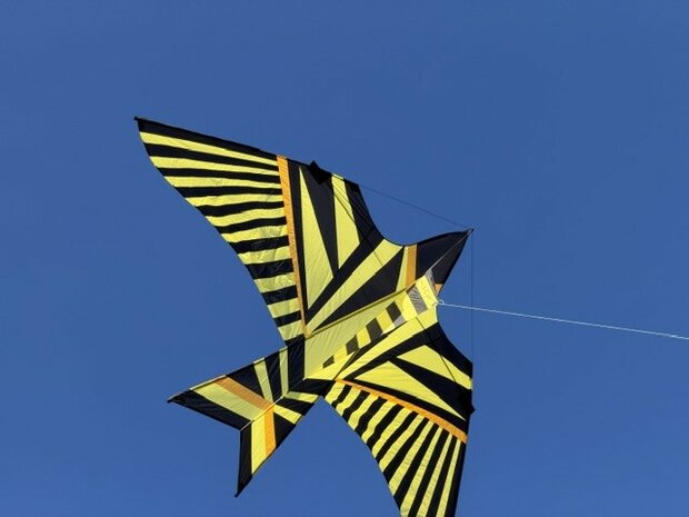 De Paddestoel George Peters Sky Bird Schiedam - Eenlijnsvlieger