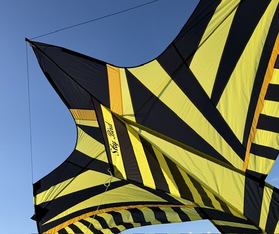 De Paddestoel George Peters Sky Bird Schiedam - Eenlijnsvlieger