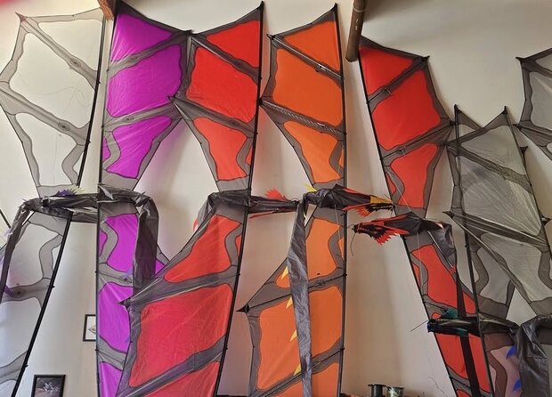 Revolution Dragon - Vierlijns precisievlieger