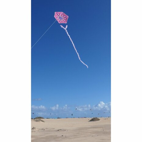 Spiderkites Alicja's Lotus Kite - Eenlijnsvlieger