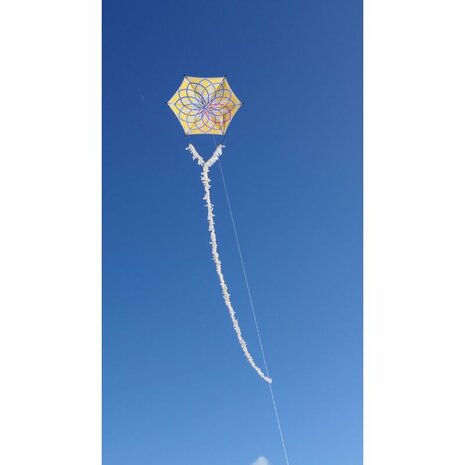 Spiderkites Alicja's Lotus Kite - Eenlijnsvlieger