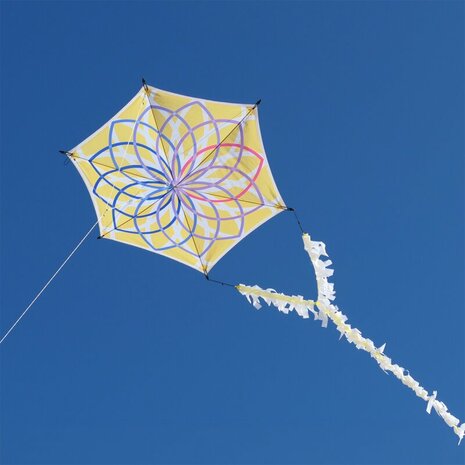 Spiderkites Alicja's Lotus Kite - Eenlijnsvlieger