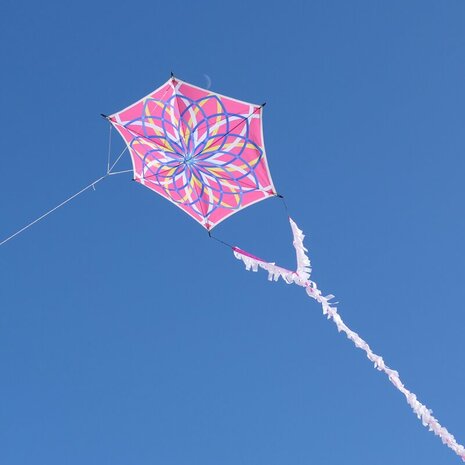 Spiderkites Alicja's Lotus Kite Pink - Eenlijnsvlieger