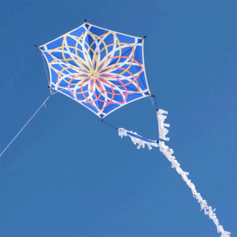Spiderkites Alicja's Lotus Kite - Eenlijnsvlieger