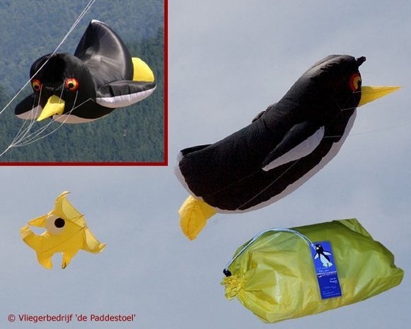 Premier Kites Pinguin XXL Windvaan