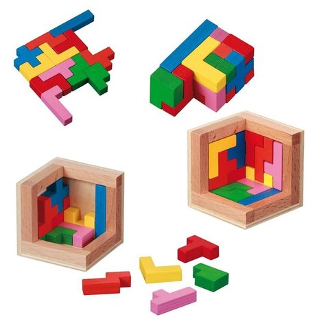 Philos Pentominos - IQ Puzzel