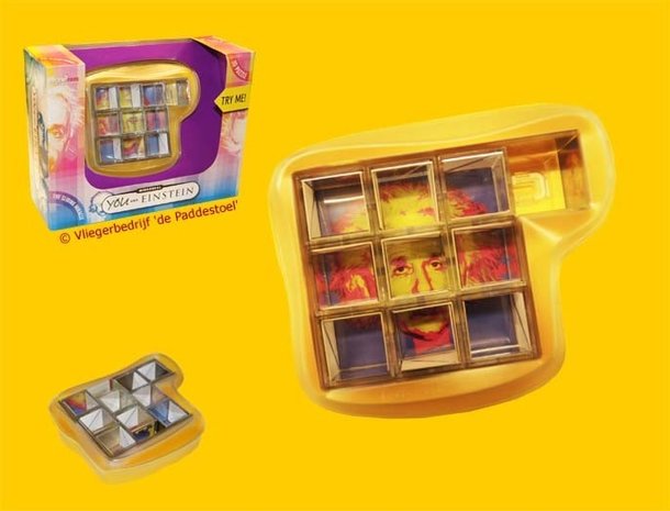 Recent Toys Mirrorkal Einstein and You - IQ Puzzel