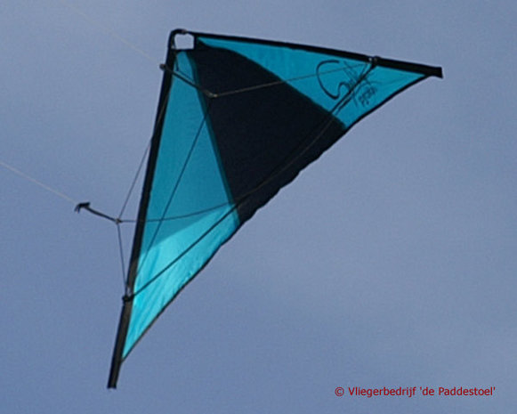 De Paddestoel Speedwing Proton