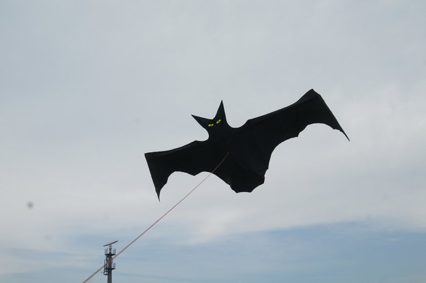 Premier Kites Flapping Bat Kite