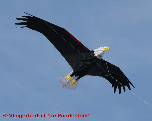 Premier Kites Giant Bald Eagle Kite