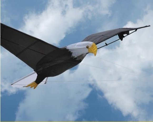 Premier Kites Giant Bald Eagle Kite