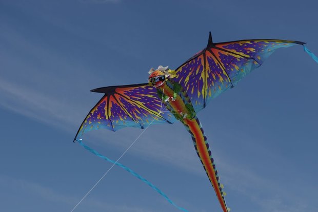 WindNSun 3D Dragon Vlieger