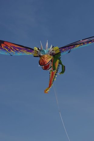WindNSun 3D Dragon Vlieger