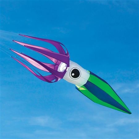 Into the wind Squid
