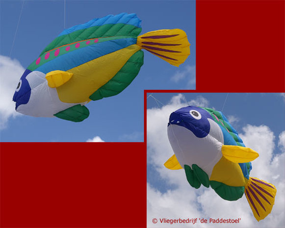 Premier Kites Peacock Wrasse Lijnversiering