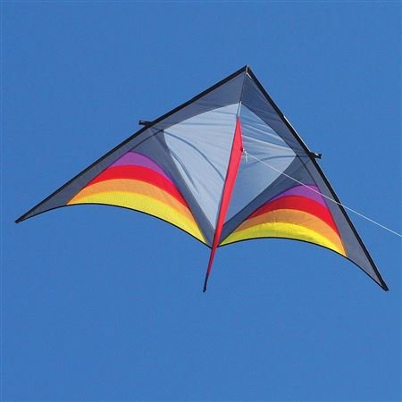Into the wind Dan Leigh XFS Delta Kite