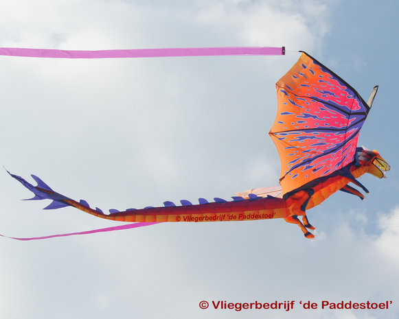 WindNSun 3D Dragon XLarge