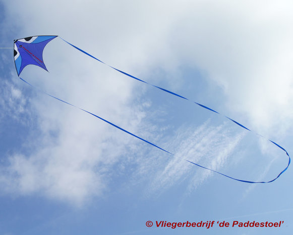 Wala Blauw