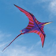 Into the wind George Peters Pterosaur