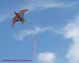 Premier-Kites-Thunderbird-Rainbow-Geometric