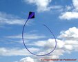 De Paddestoel Diamant Stunter Blauw